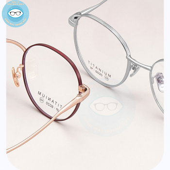 gọng kim loại mã 6020